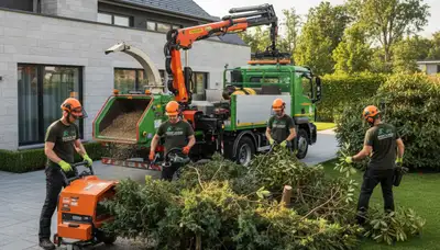 Professional shrub removal service in Greenville, NC clearing overgrown bushes and yard debris