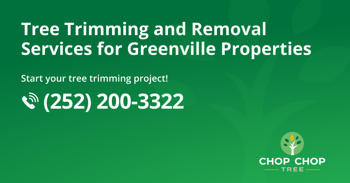 Greenville Tree Removal and Tree Care Services | Chop Chop Tree